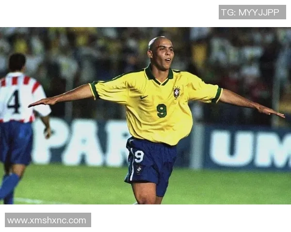 法国足球明星3的传奇故事与辉煌成就揭示了足球的魅力与激情